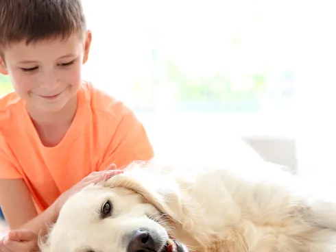 Boy and his dog on white carpet